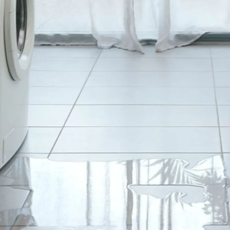 Appliance Leak Cleanup in Clara City, MN