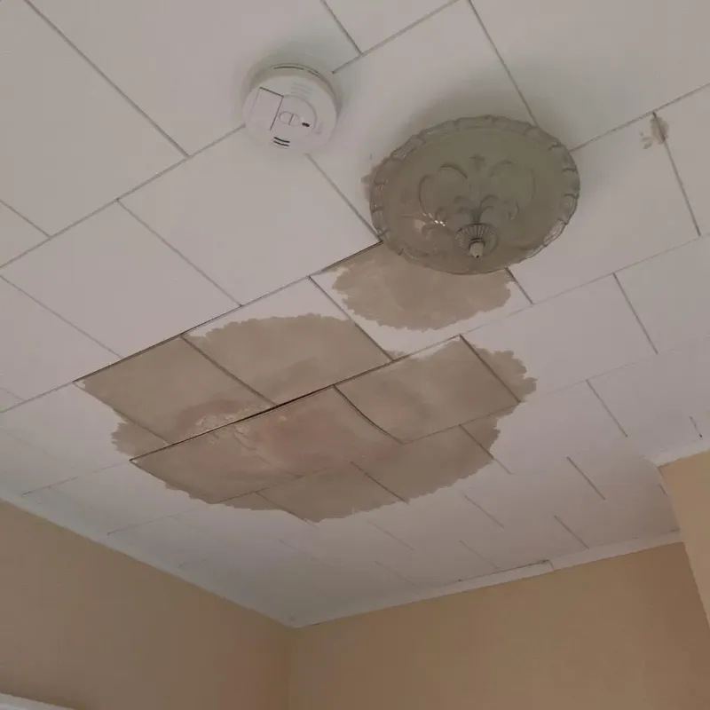 Ceiling Water Damage Repair in Clara City, MN
