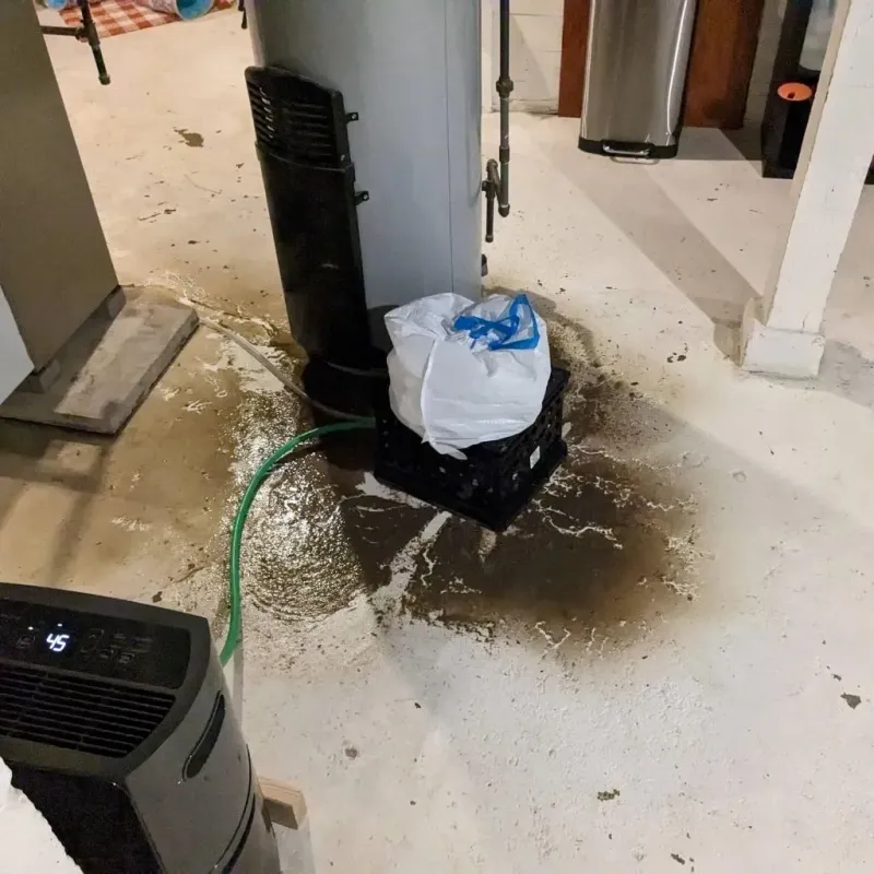 Sewage Backup Cleanup Service in Clara City, MN